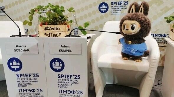     Источник: Евгения Стогова / РБК