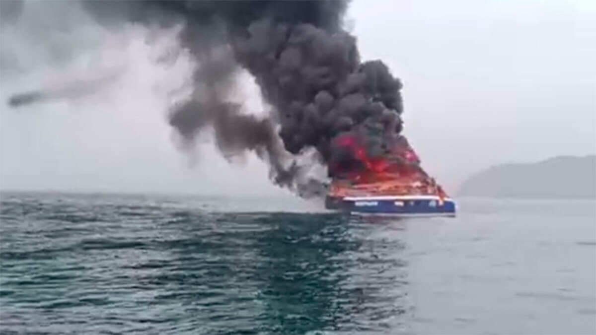     / Источник: © Соцсети
