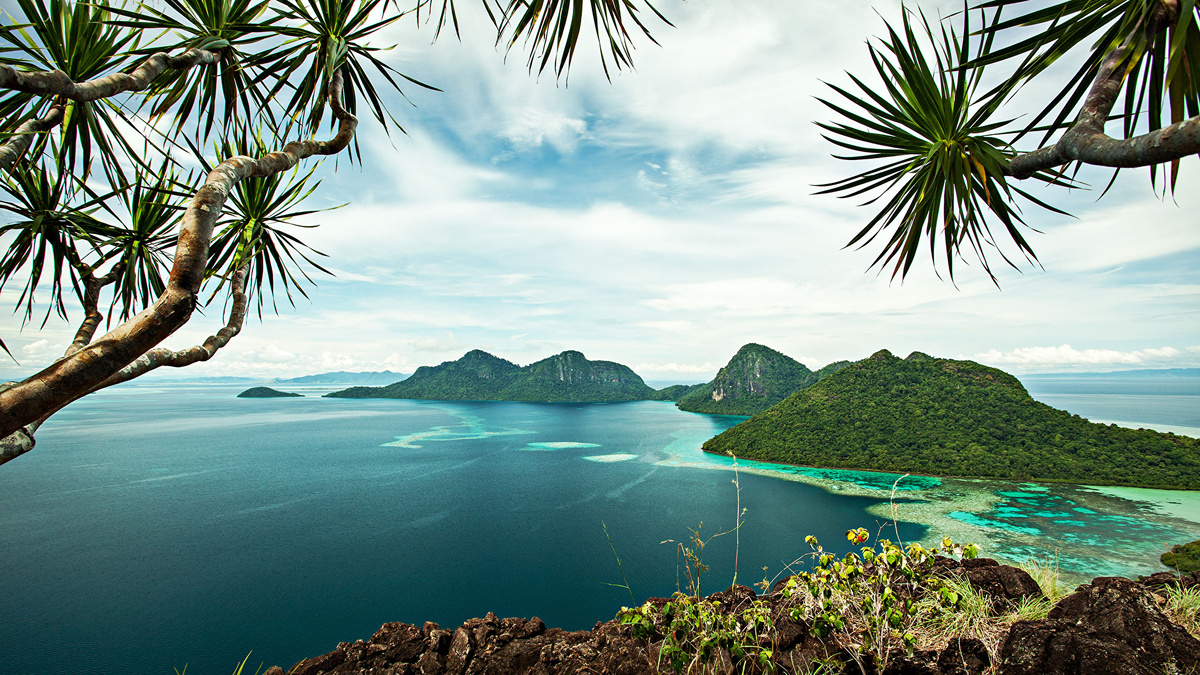 Остров Борнео. Изображение имеется в свободном доступе.