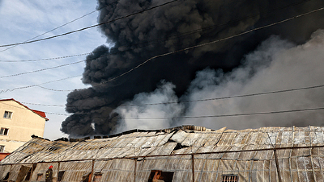    Nina Liashonok/Globallookpress