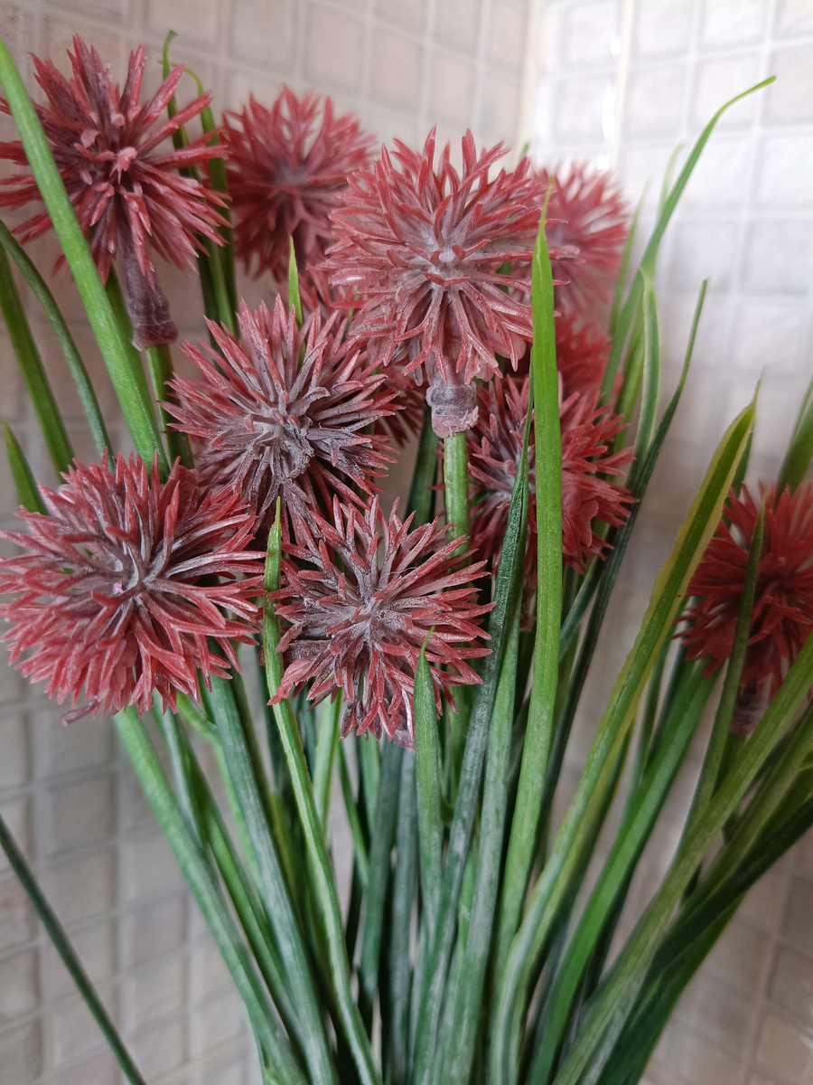 Просто фото