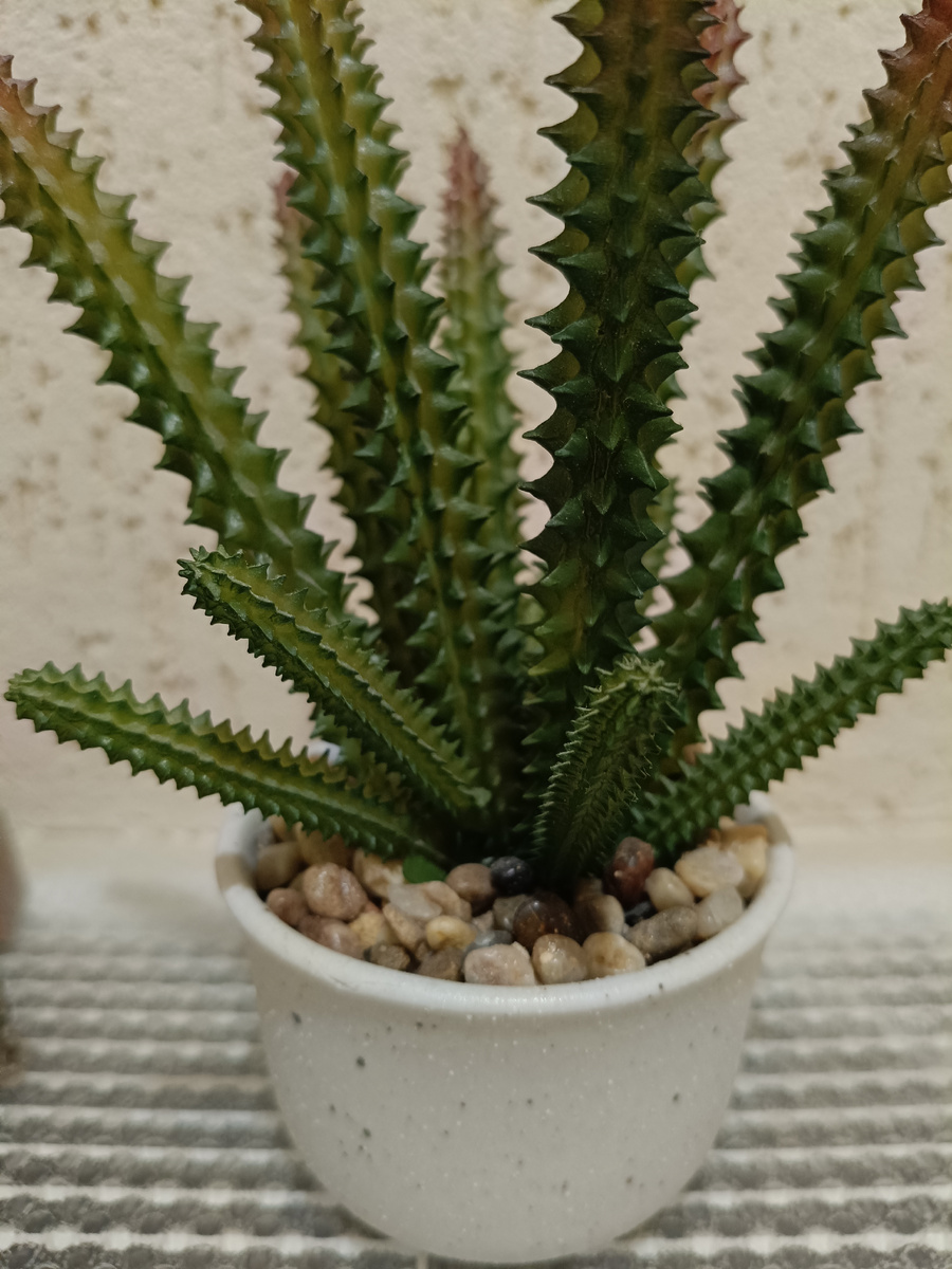 Просто фото