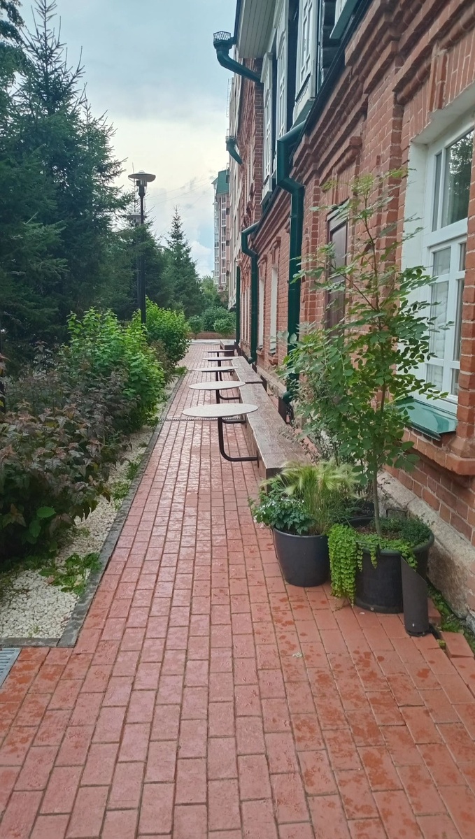 После дождя 