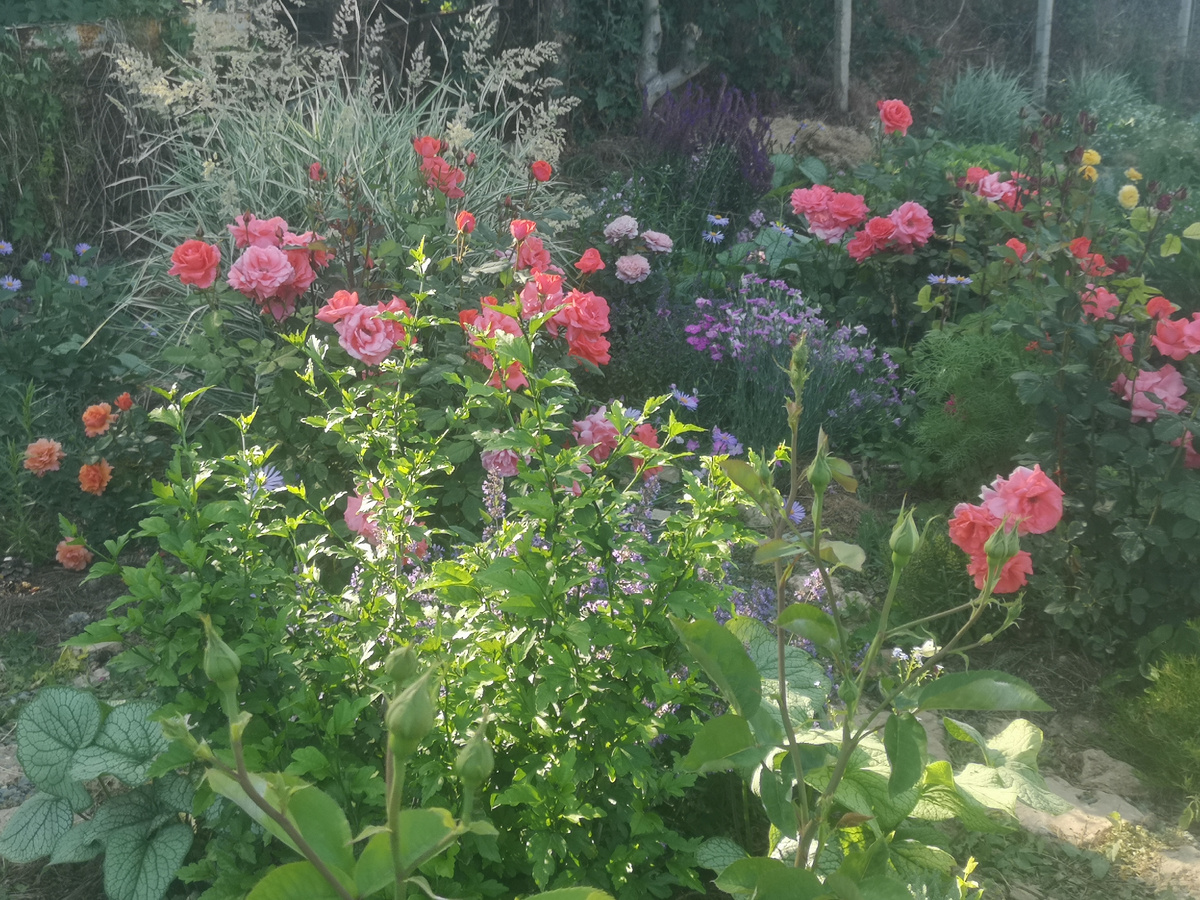 Ну чем не заброшенный уголок русской усадьбы? 😊