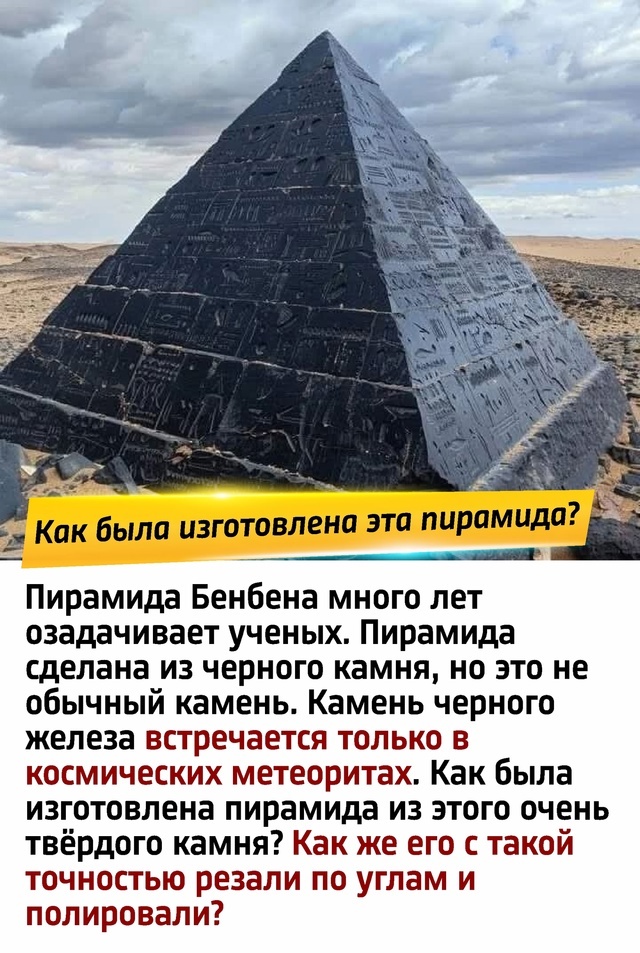 🌳 От палки-копалки до цивилизации: как это было?