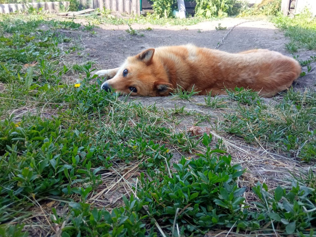 Валямси))). Фото автора
