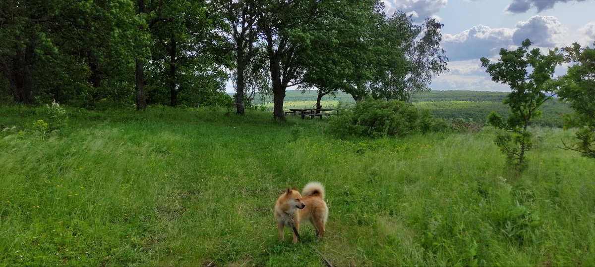 Наш путиводитель. Фото автора