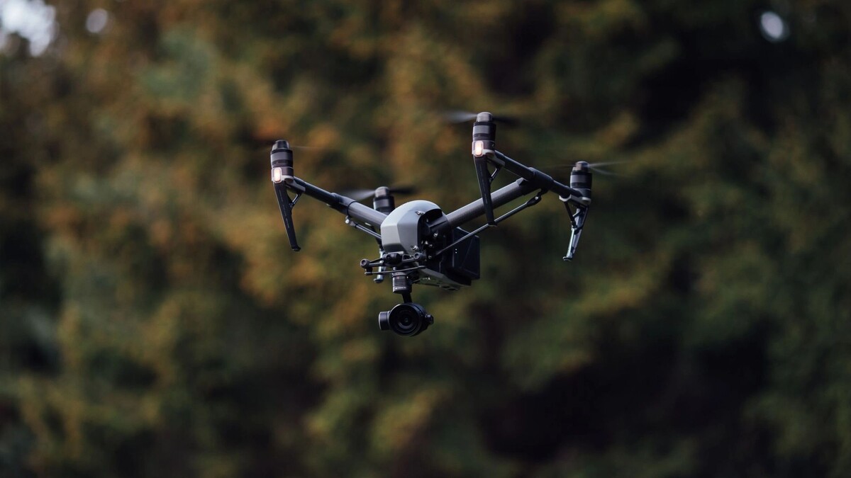    Фото: Levenko/Shutterstock/Fotodom