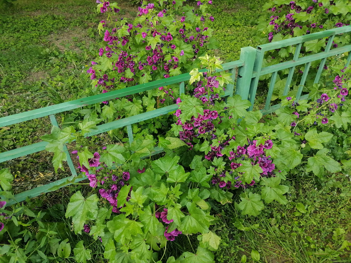 Просто для обложки. Красиво. 