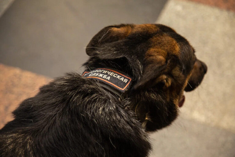    Фото: Общественная служба новостей Ольга Чистова