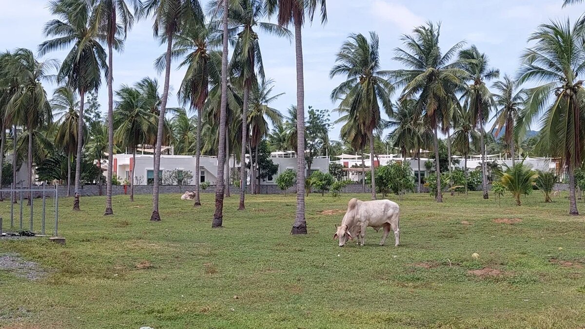 Фото автора. Въезд на виллы The Beach Village Resort