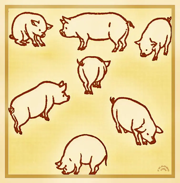 Геометрическая головоломка: территория для поросят 🐷