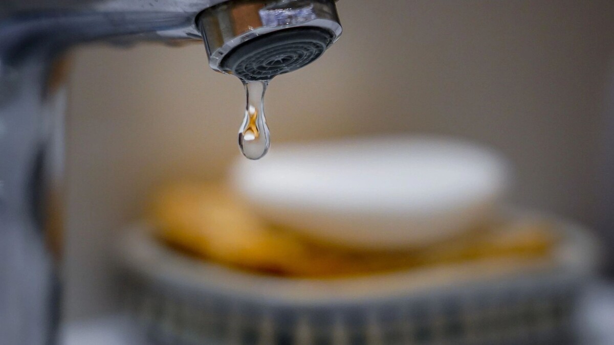    Фото: Anelovski/Shutterstock/Fotodom