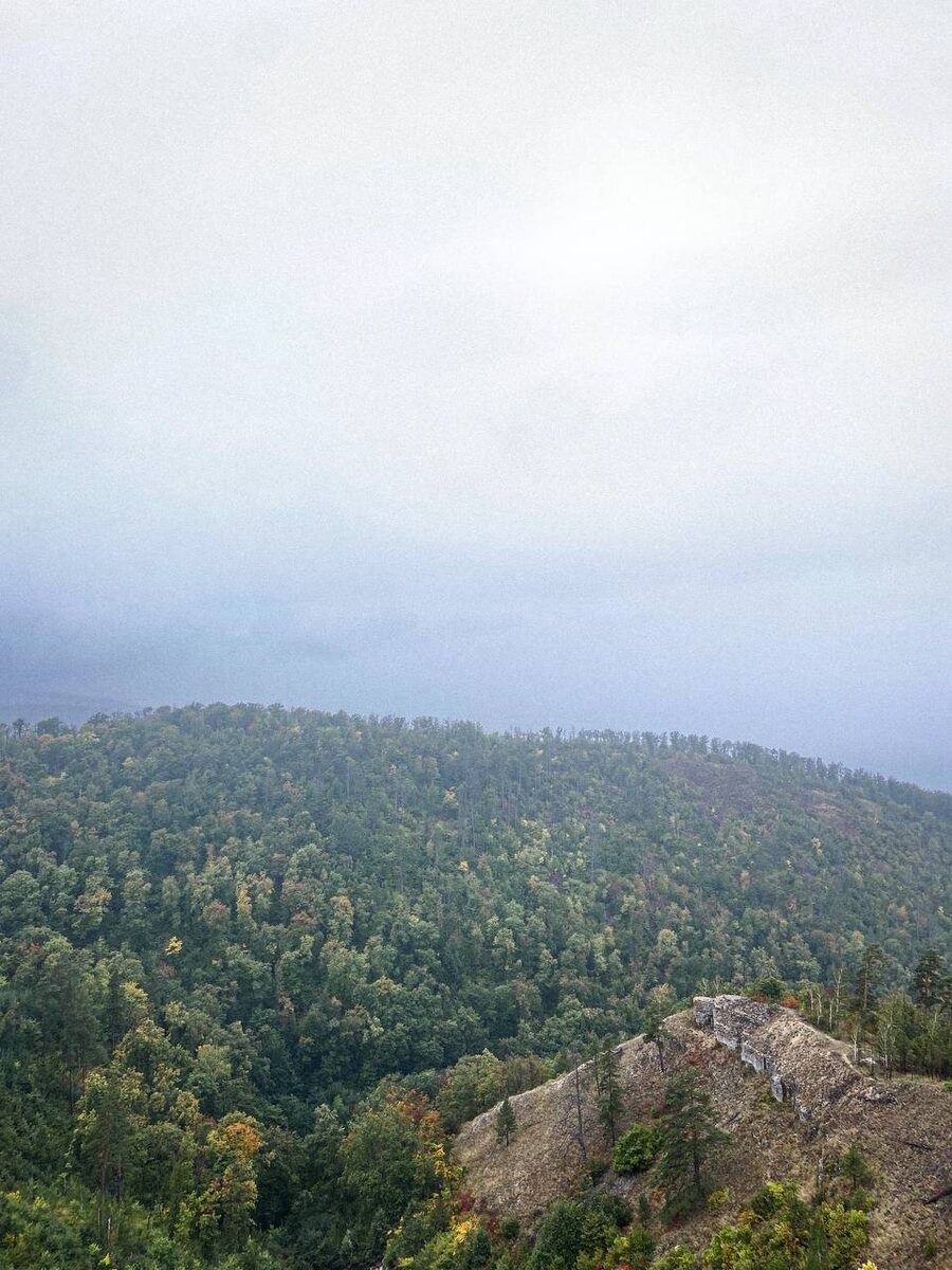 Туманный Тигр