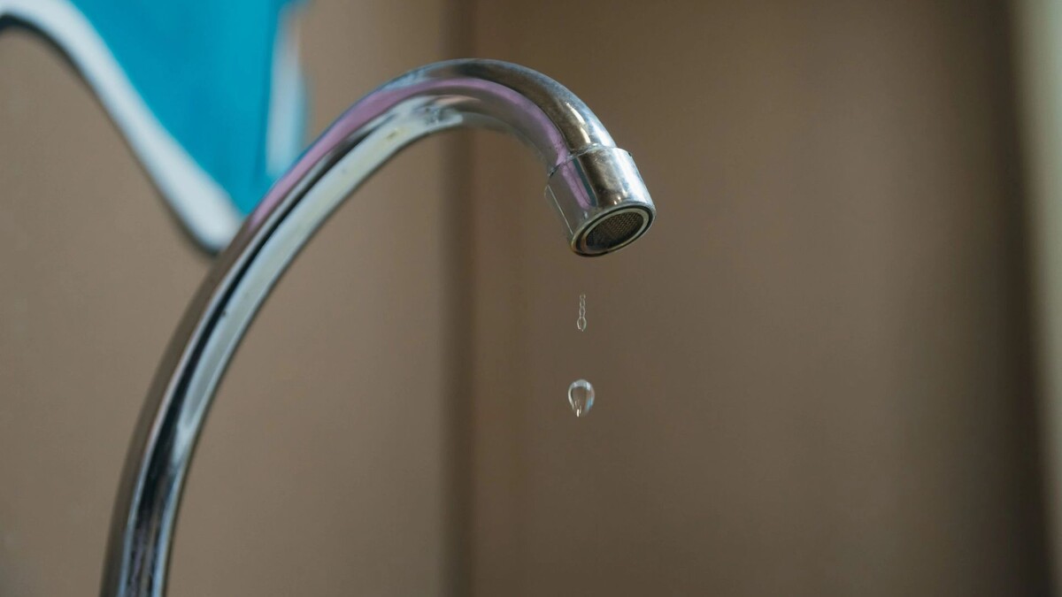    Фото: Charles Russell / Shutterstock / Fotodom