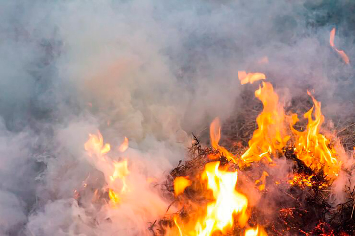    2 пожара произошло в Курской области за сутки — погибших нет