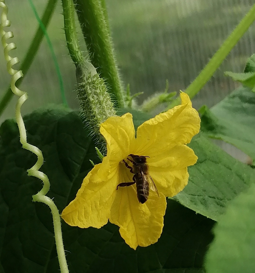 Фото автора. 