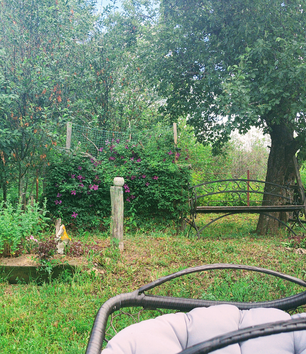 Посмотрела направо...Фото автора