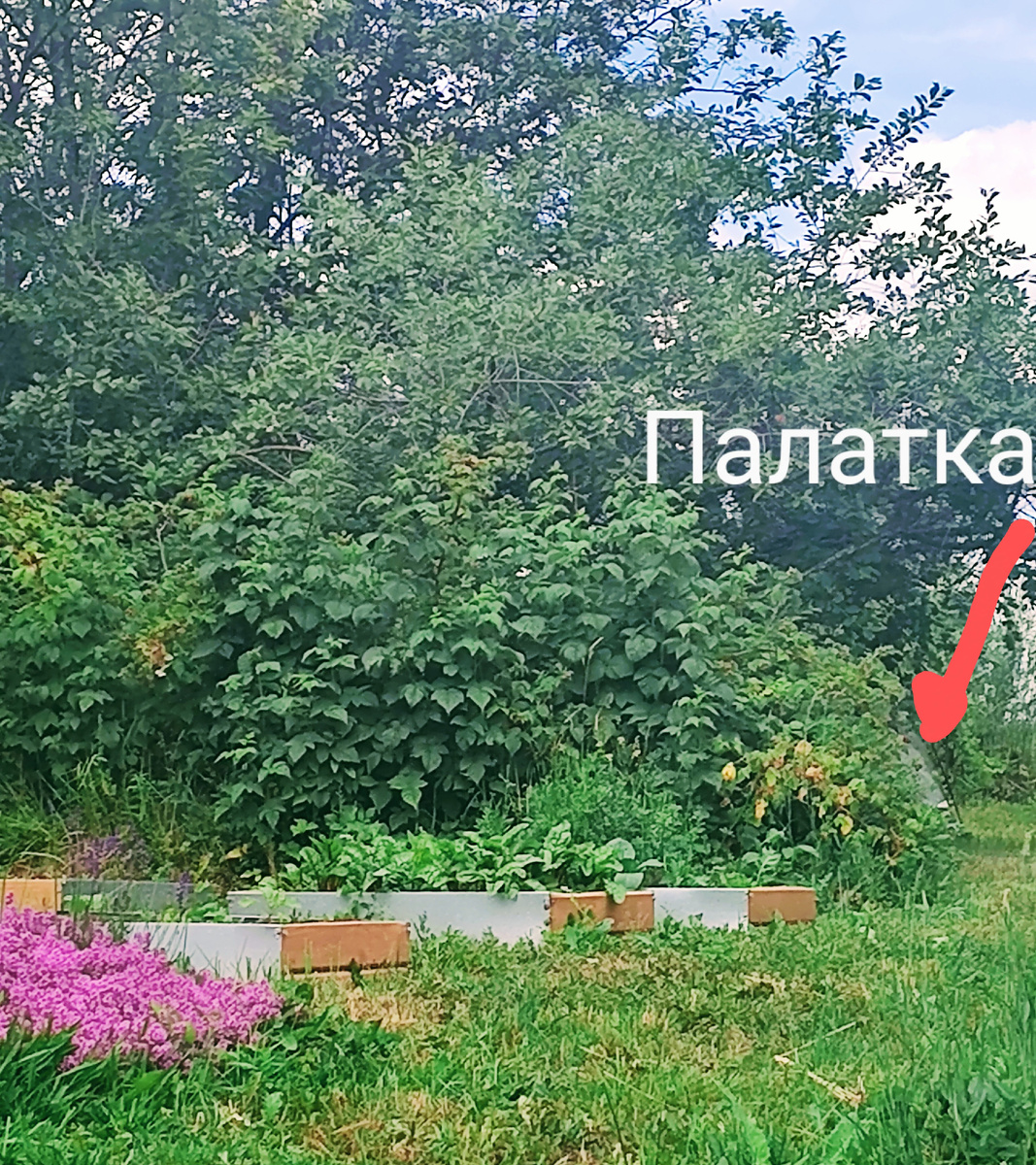 Это я из своего подвесного кресла-кокона продолжаю фотографировать 