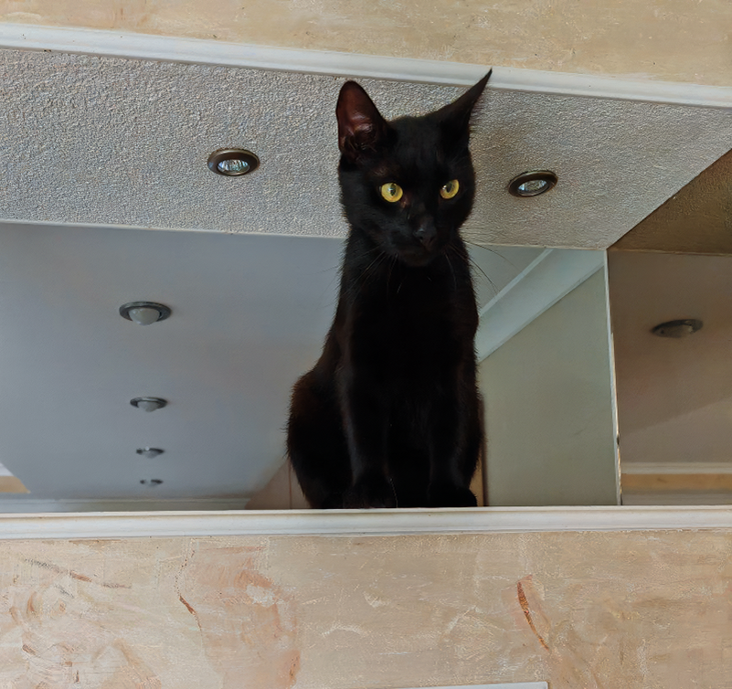 На обложке отважный верхолаз Уголек