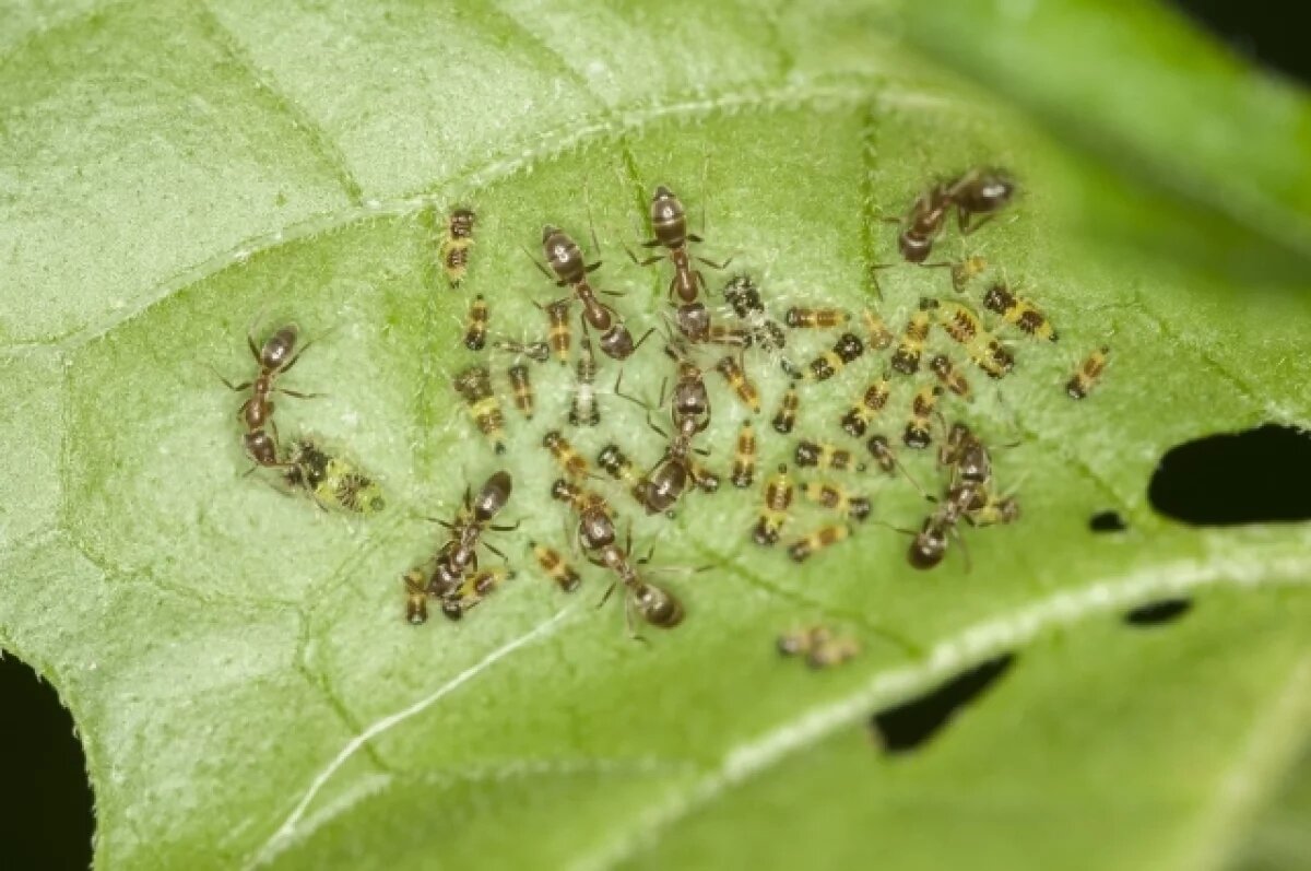    Два часа — и всё: