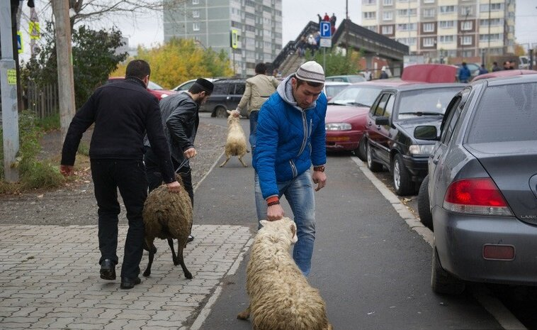 Большинство мигрантов стараются адаптироваться к местным обычаям и законам, но пока в  Москве, прямо на детской площадке, мигранты развернули производство по обработке .....
