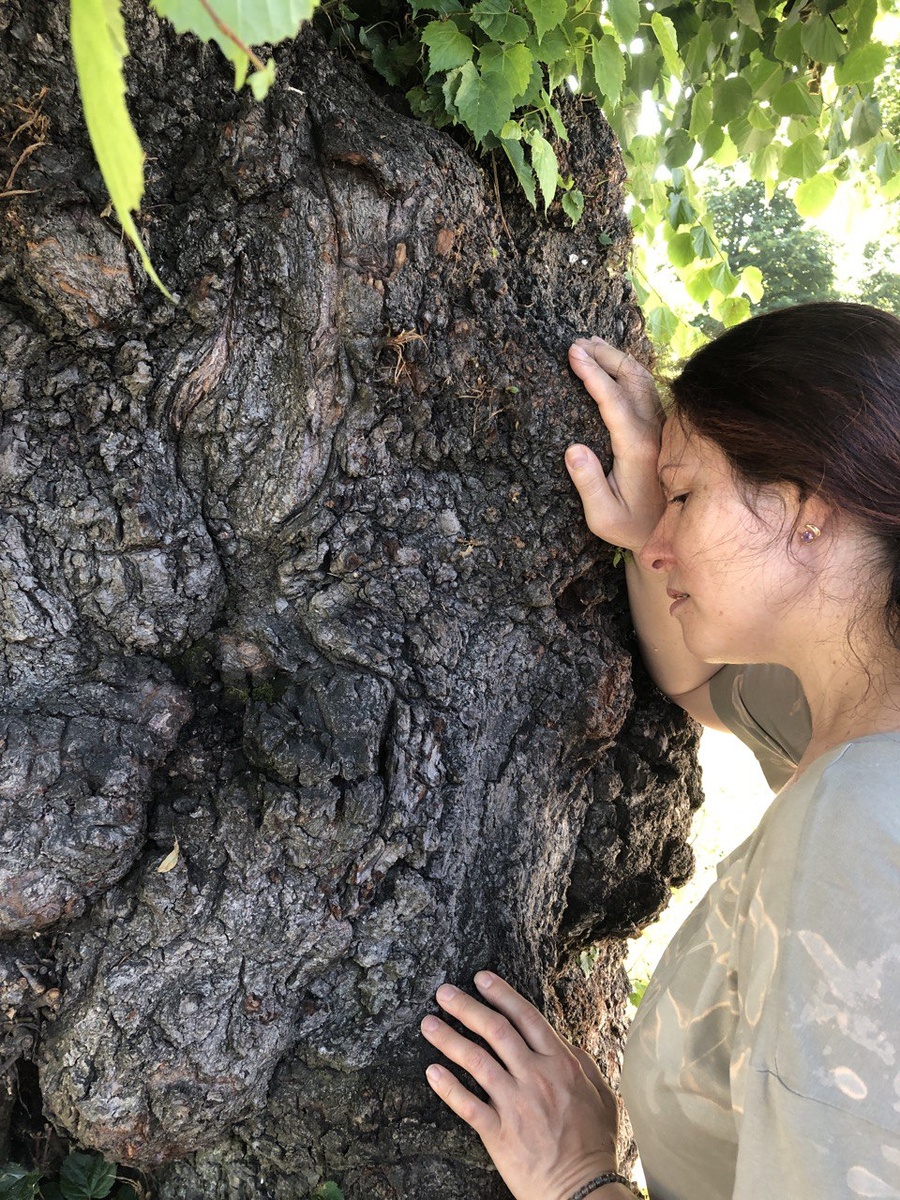Природа в вас все механизмы эволюционно заложила. Это есть в вас, и это древнее вас, сразу после рефлексов рядом с инстинктами, потому так легко восстанавливается 