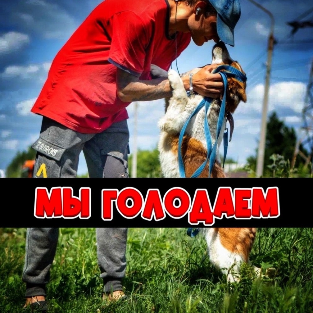 Мы уже не знаем, что делать, руки ОПУСКАЮТСЯ! Сборы идут совсем тяжело!