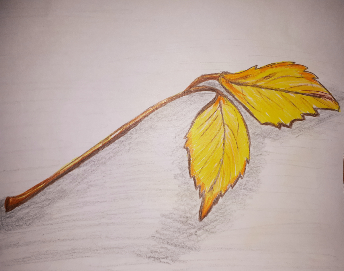 Рисунок автора ноябрь 2024г.