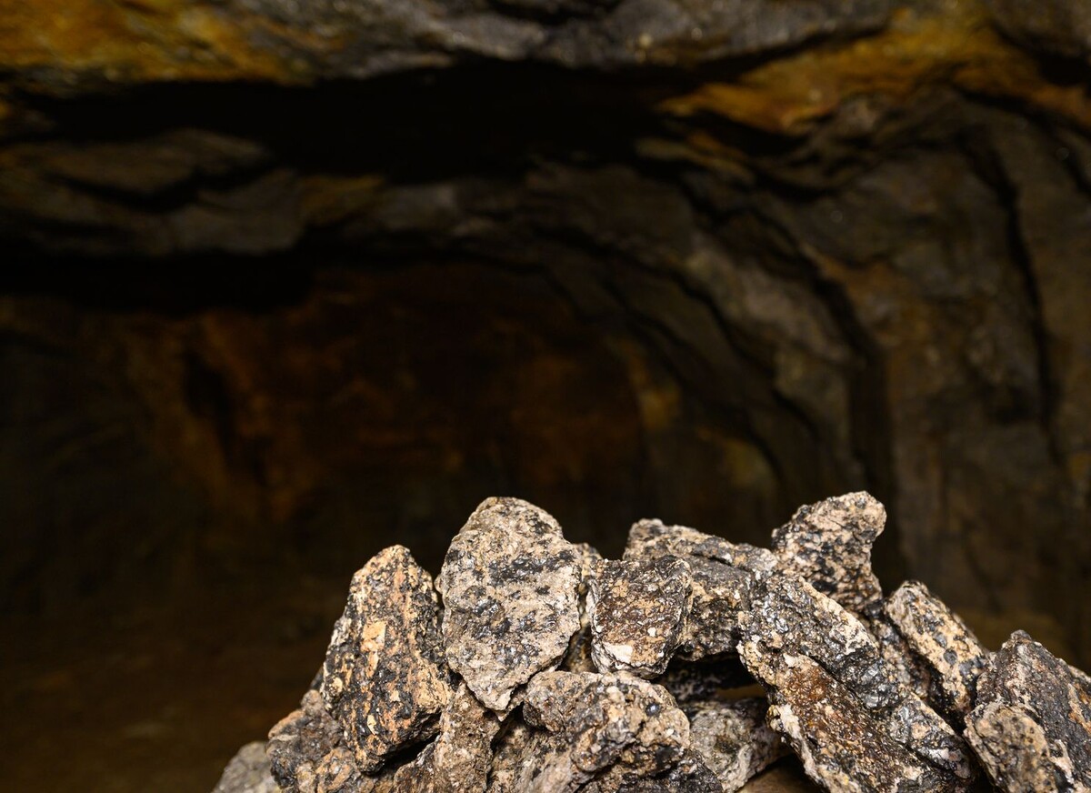     / Источник: © Robert Michael/dpa/Global Look Press