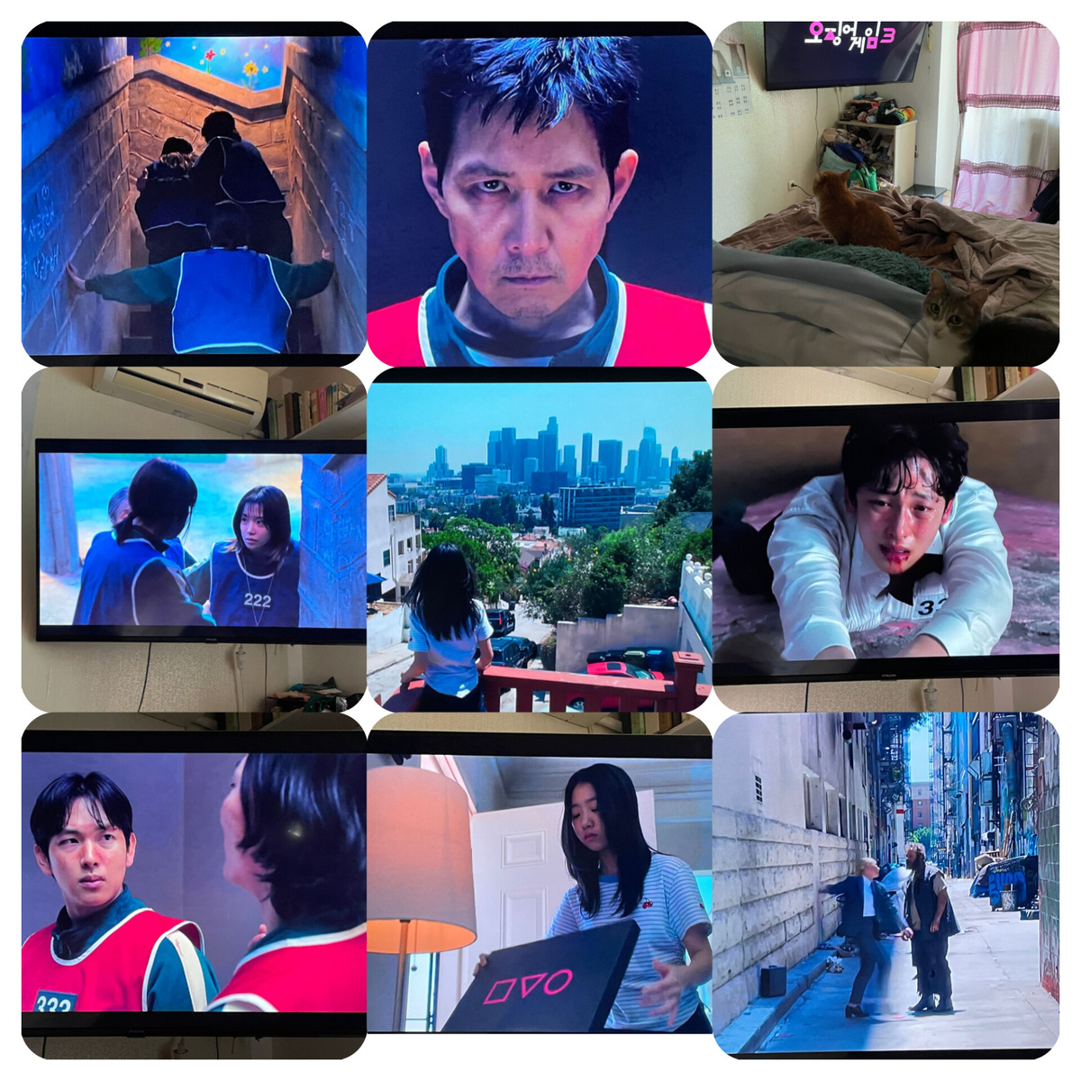 Авторский коллаж с нарезок кадров из телевизора