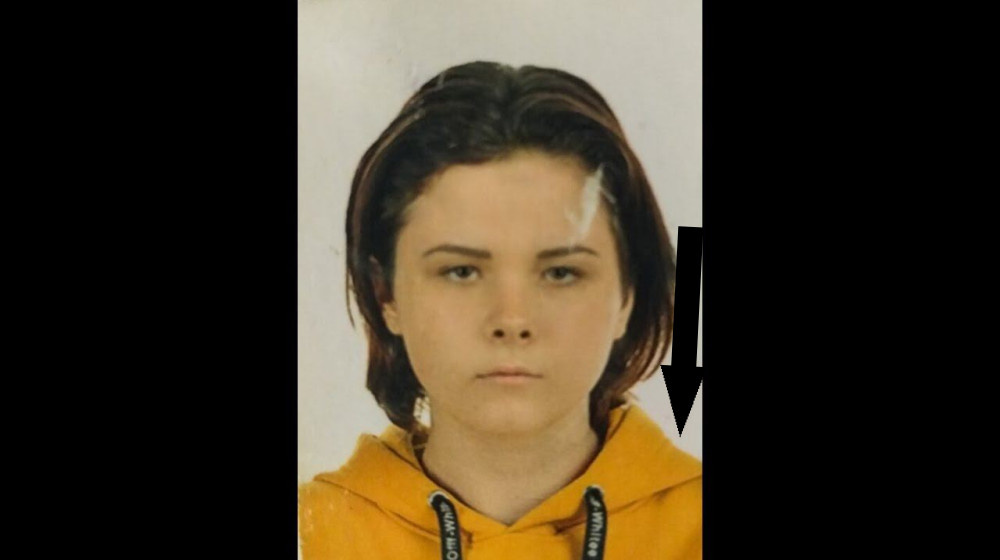    Загадка исчезновения богатой наследницы Дороти Арнольд шокирует Нью-Йорк