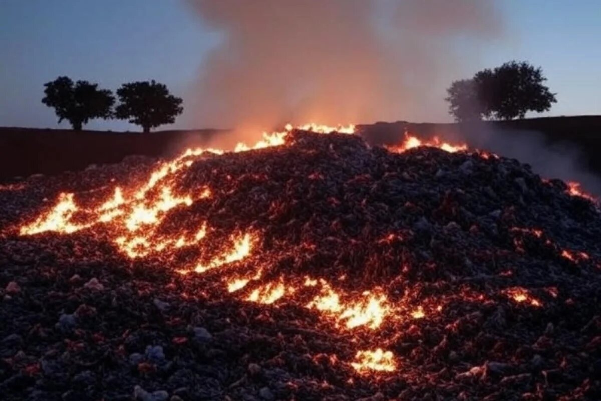    Новый пожар вспыхнул на свалке в ЕАО в 7 км от Биробиджана