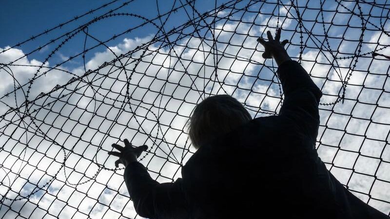    Фото: Michael Wick/Shutterstock/Fotodom