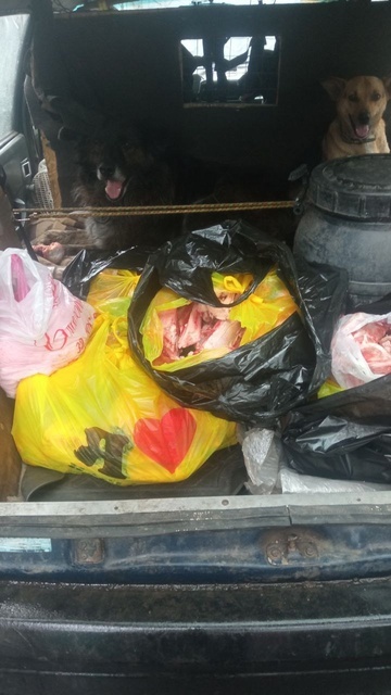 Обнять и кости для собак. Закупка