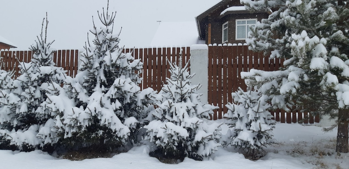 А еще снег чистить нужно!