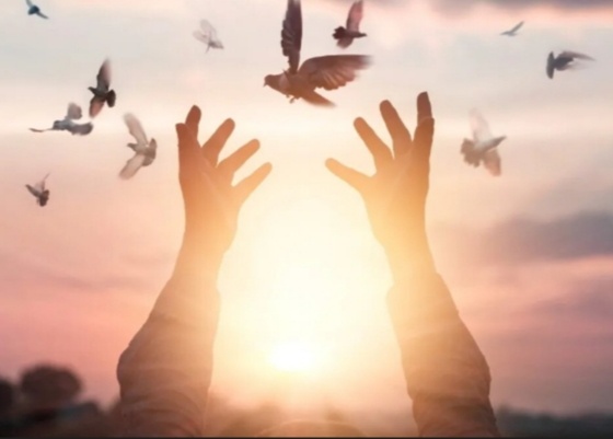 Этот метод поможет тем кто уже осознал что пора мириться, что дальше воевать и что то доказывать нет смысла. И если ваш обидчик тоже хочет мировой и уже много раз просил прощения, но при каждом сближение вас как будто что то сдерживает и примирения не происходит. То тогда можно попробовать самому придумать что то вроде меры наказания для этого человека, конечно она должна быть разумной и реальной. Например при поднесения какого нибудь подарка, того чего вы давно хотели, но нерешались это приобрести. Или оплатить какую нибудь спа процедуру. Или если это ваш партнёр, приглашения на романтическое свидание. Можно многое придумать, главное что бы это было всем по силам и делалось по желанию двух сторон. Почему это сработает? Так уж мы устроены что когда нас обижают, мы внутри хотим наказания этому человеку. Возможно на это влияет наше детство, когда родители желая нас воспитать, из лучших побуждений конечно, делали это с помощью известного способа "кнута и пряника". И это заякорилось в нашем подсознание и пока мы не добьёмся этой расправы, не успокоимся. А значит и не простим. Поэтому мы можем сами придумать что то, можно даже какую то приятную мелочь и тем самым закроем эту потребность, что вот видишь человек признал и искупил ошибку и уже наконец то отпустить свою обиду. 