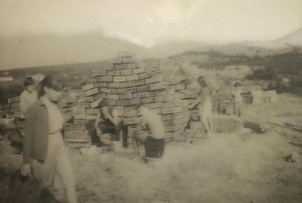 Работаем. Качество плохое, но спасибо, что вообще есть.