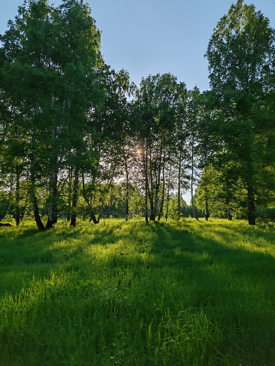 Обожаю июнь за его сочную зелень