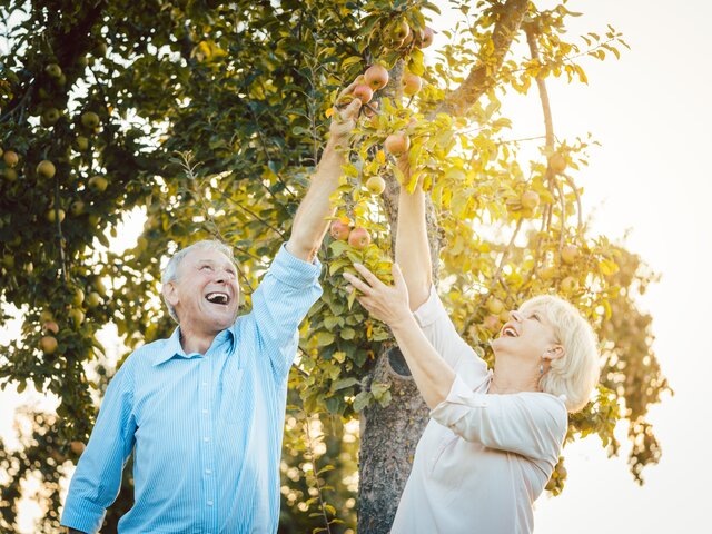    Фото: 123RF/kzenon