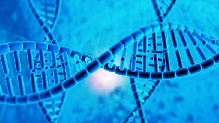    Фото: 123RF/exploderasi