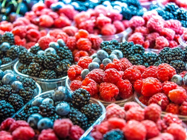    Фото: 123RF/monticello