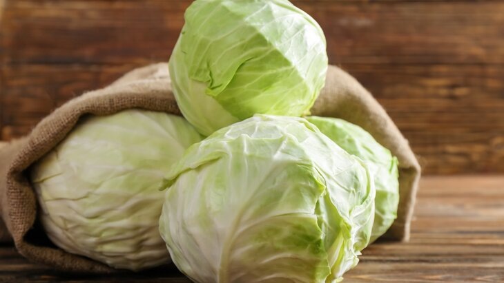    Фото: 123RF/serezniy