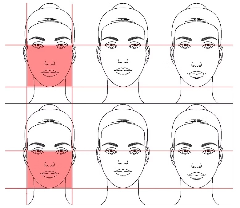 Вертикаль и горизонталь можно отследить по розовым прямоугольникам