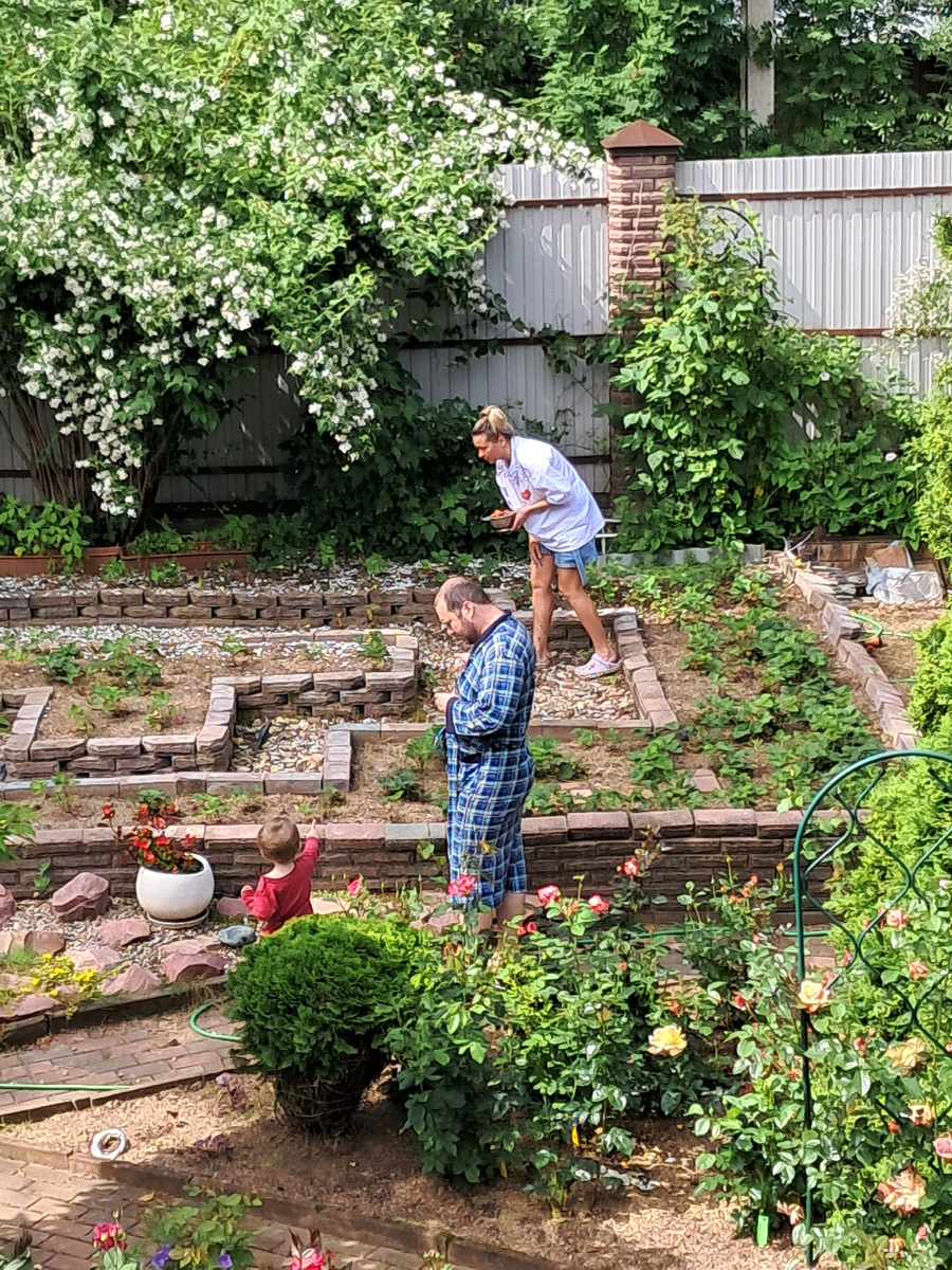 За клубничкой для племянника