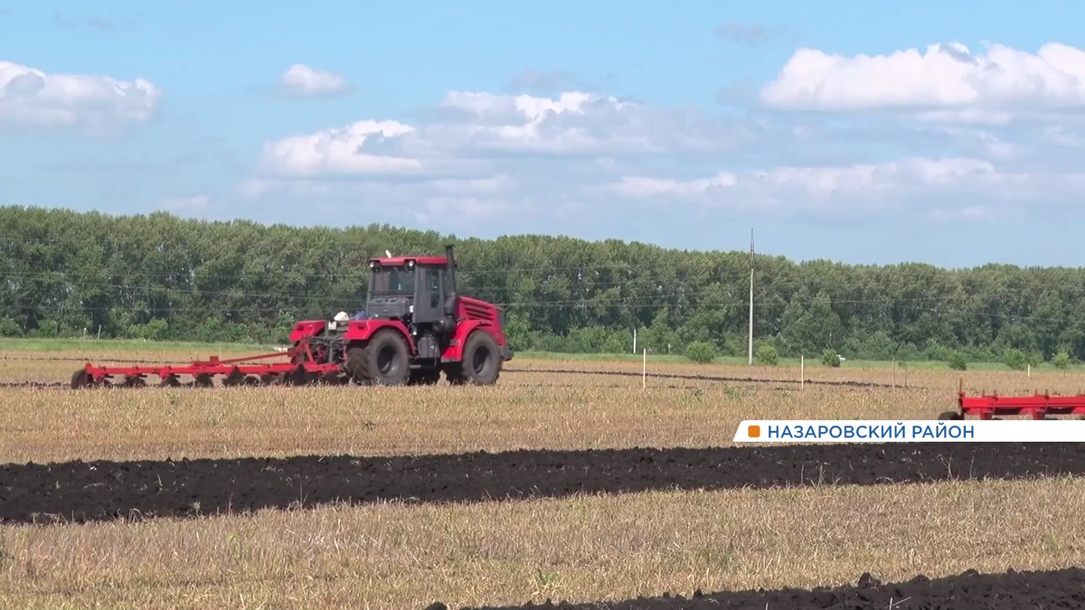     В Красноярском крае выбрали лучшего пахаря