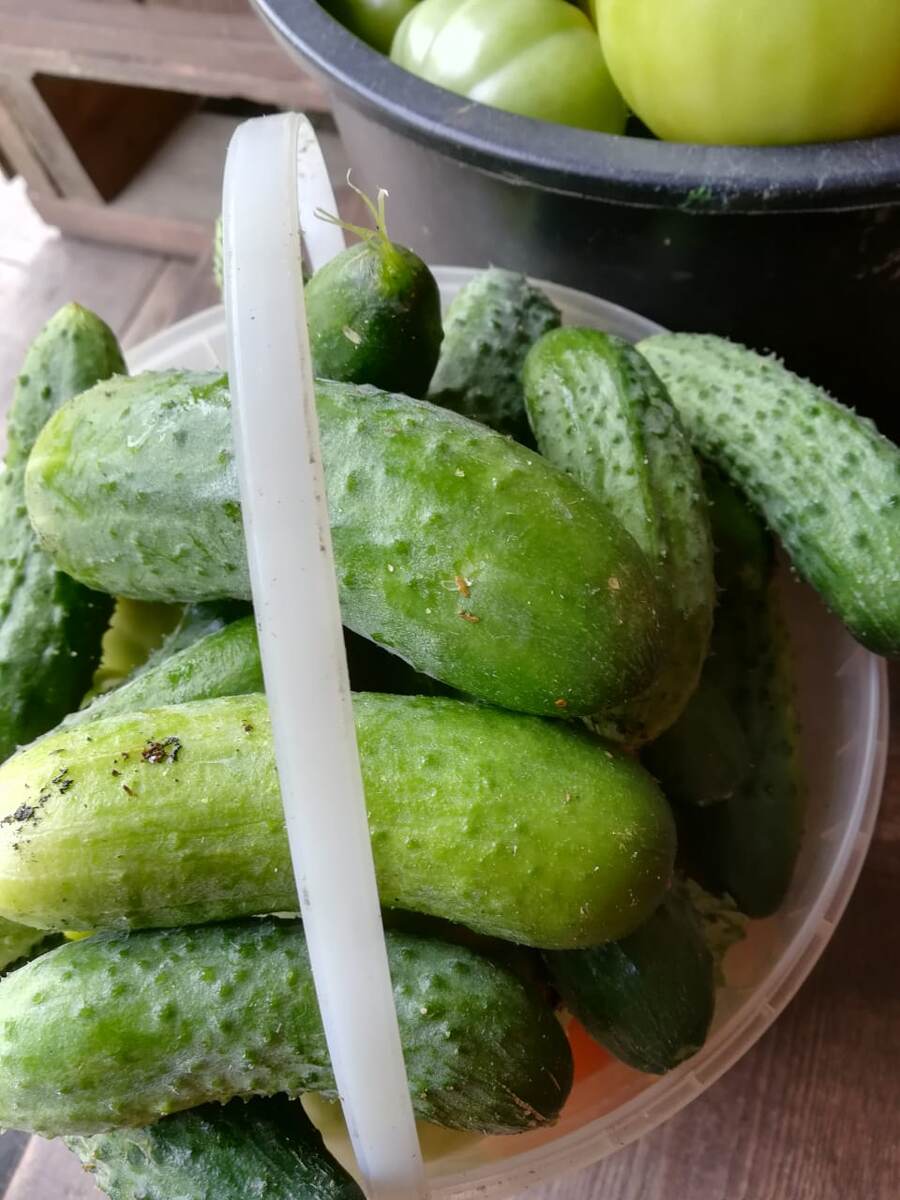 фото: прошлогодний урожай