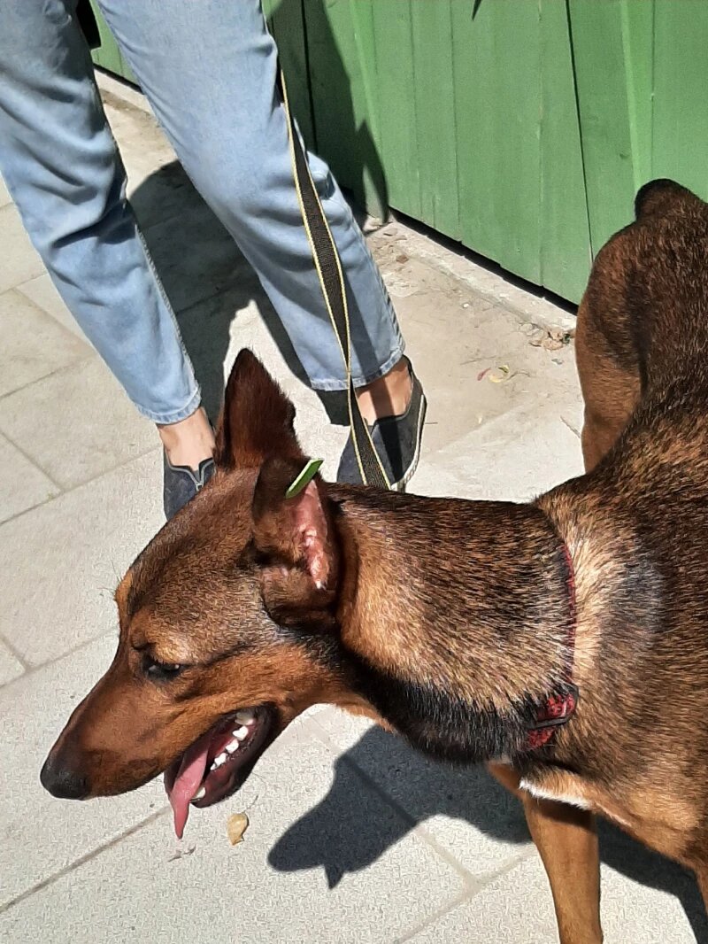 Листайте вправо, чтобы увидеть больше изображений