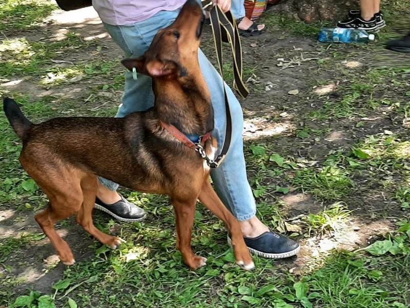 Листайте вправо, чтобы увидеть больше изображений