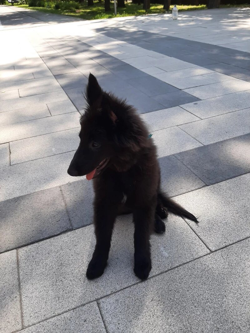 Листайте вправо, чтобы увидеть больше изображений